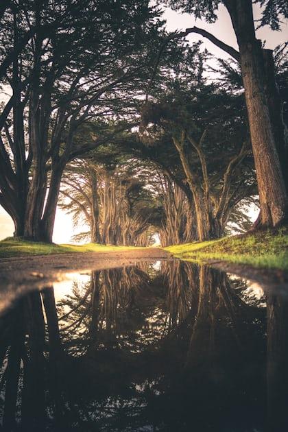 a journey to clarity